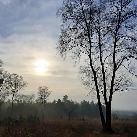 In Valthe Near Emmen Zoo Beekbergen