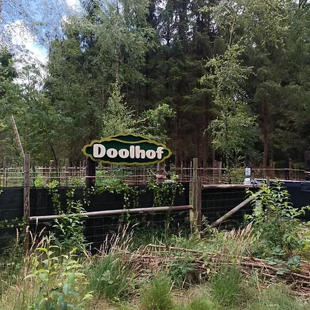 In Valthe Near Emmen Zoo