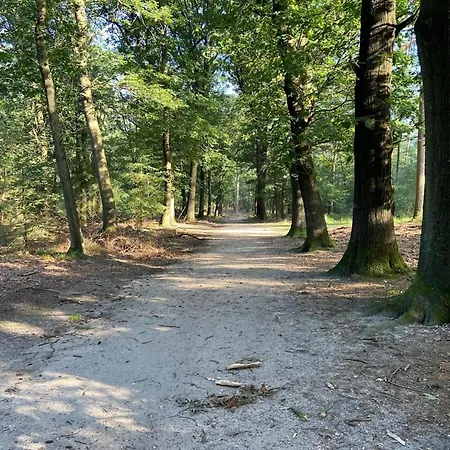 In Valthe Near Emmen Zoo Chalet