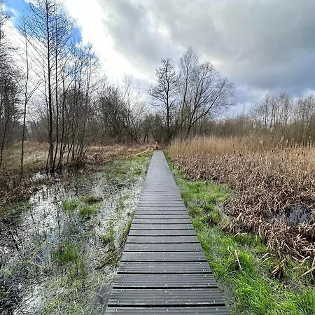 Chalet In Valthe Near Emmen Zoo *