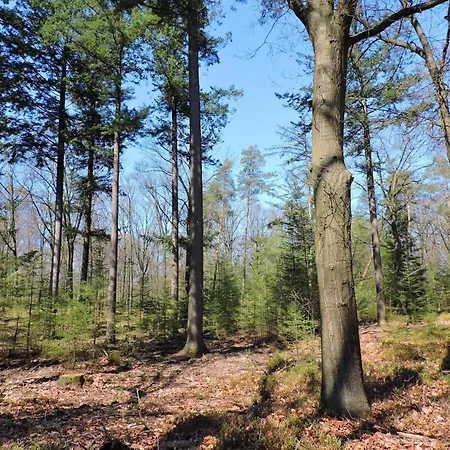 For 4 Persons In Beekbergen